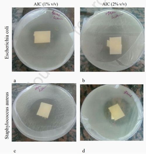 纤维素基粘合剂复合材料的制备及其作为活性包装材料用于延长奶酪的保质期